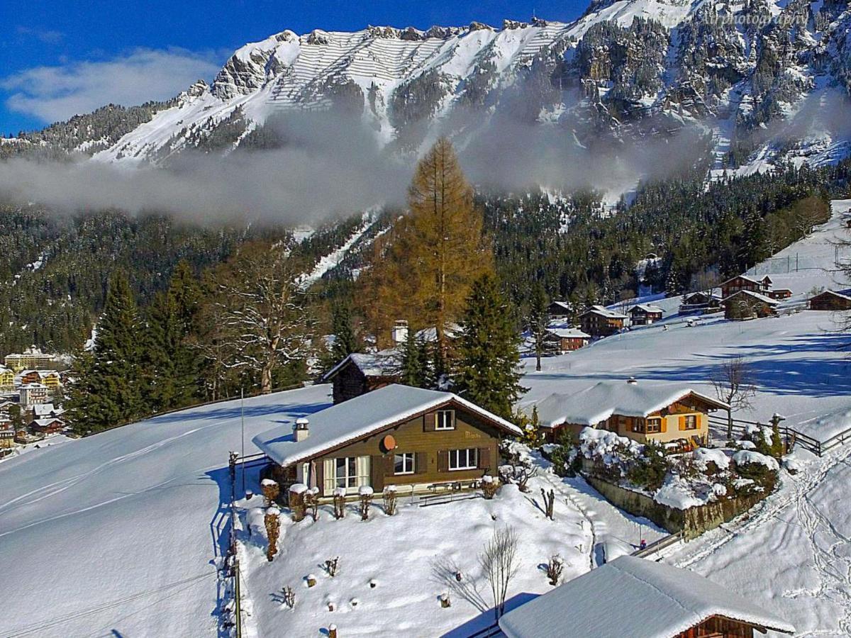 Chalet Zwaergli By Interhome Wengen Ngoại thất bức ảnh