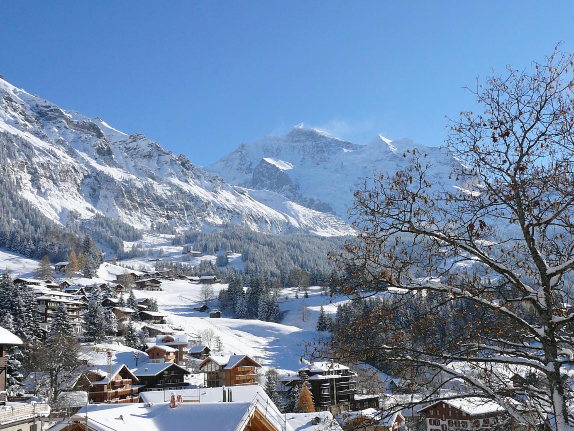 Chalet Zwaergli By Interhome Wengen Ngoại thất bức ảnh